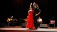 BSHD'den flamenco gecesi