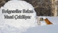 Belgeseller bakın nasıl çekiliyor