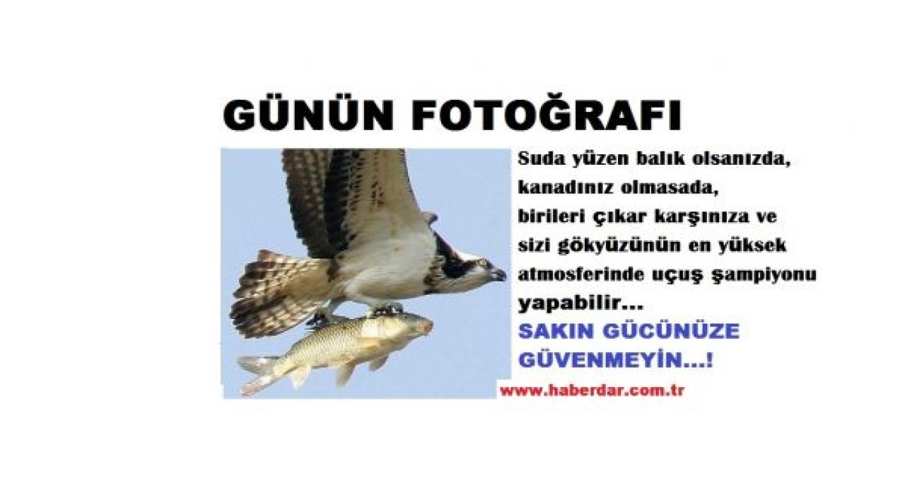 GÜNÜN FOTOĞRAFLARI... 1