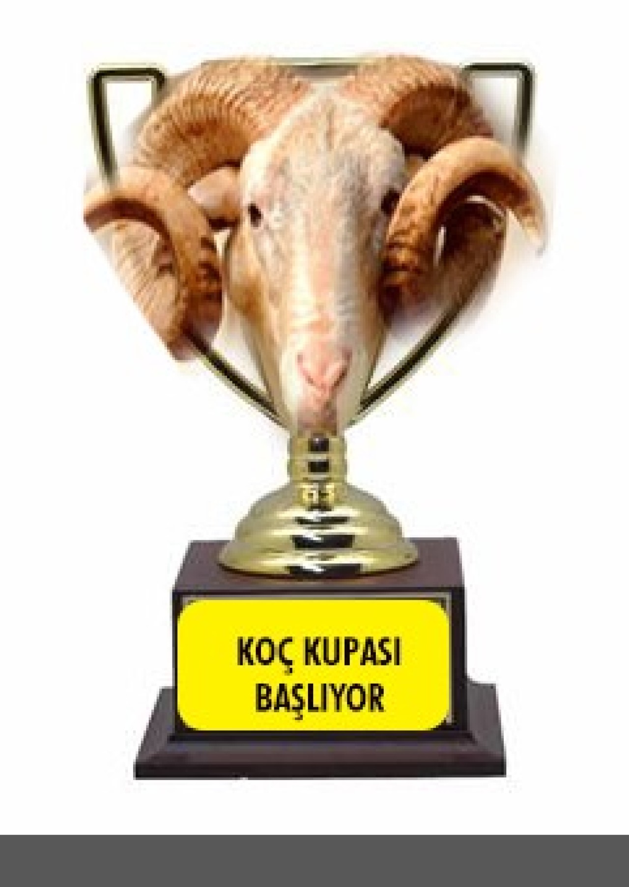 Büyükçekmece Ziraat Odası Halı Saha Futbol Turnuva 1