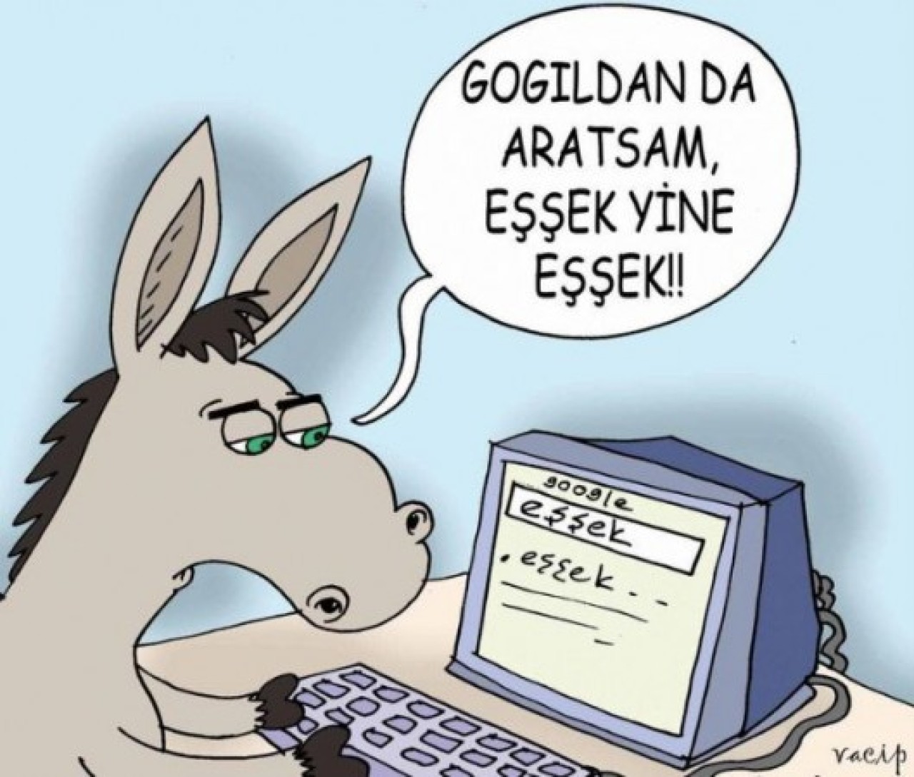 En komik 10 karikatür 2