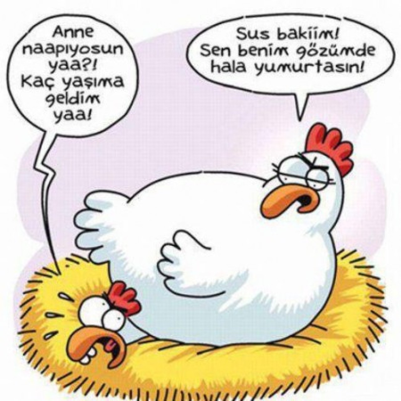 En komik 10 karikatür 7