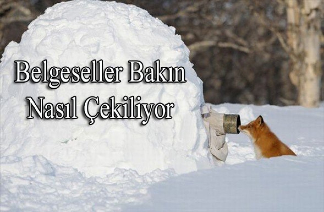 Belgeseller bakın nasıl çekiliyor 1