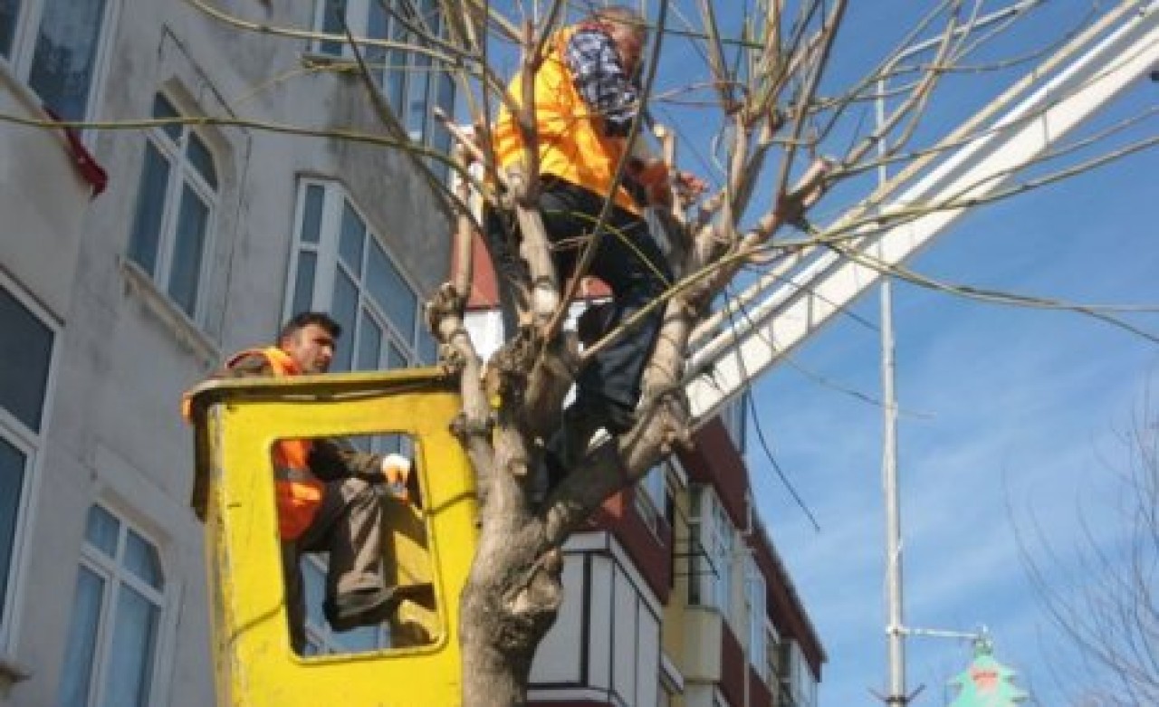 Büyükçekmece'de parklar kışa hazırlanıyor