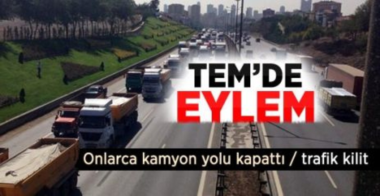 Onlarca Kamyon TEM'i Kapattı