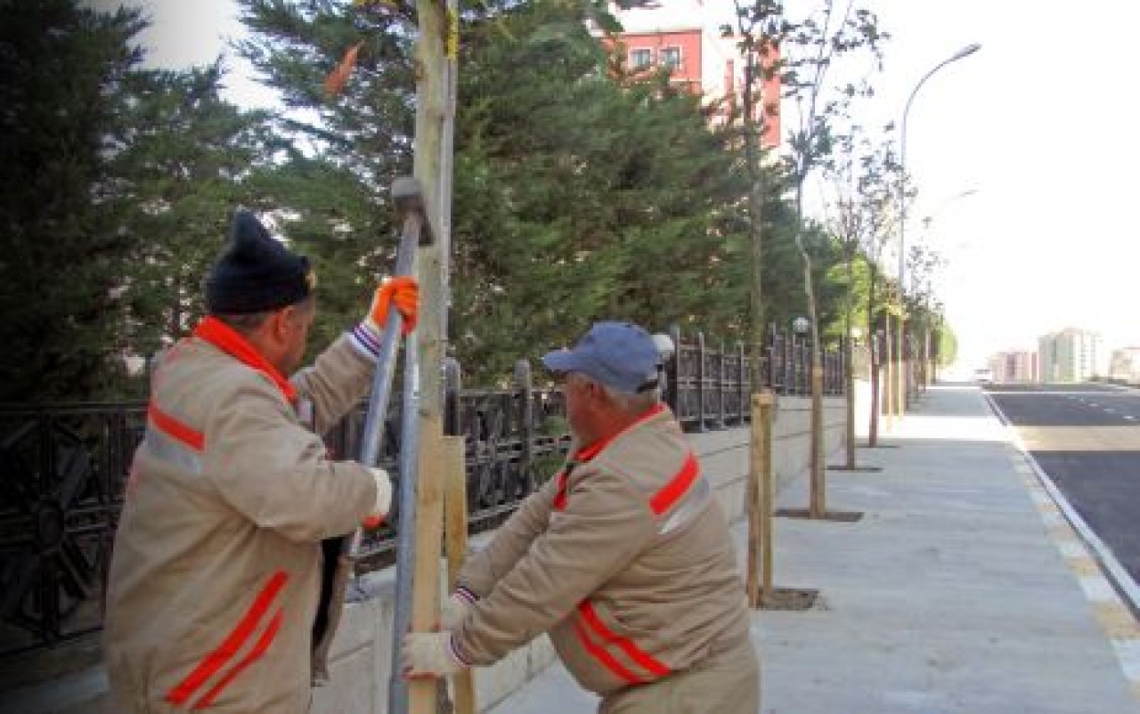 BEYLİKDÜZÜ, YEŞİLLE CAN BULUYOR