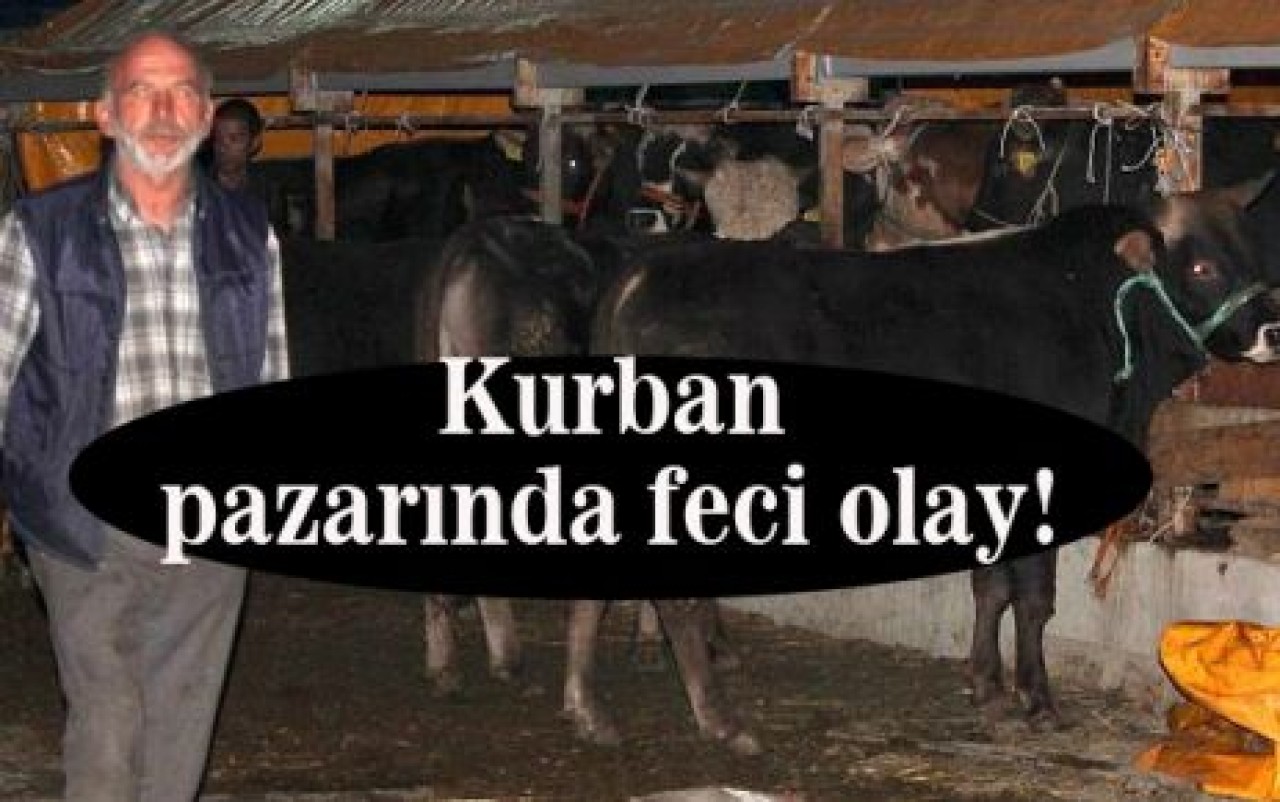 Kurban pazarında feci olay!