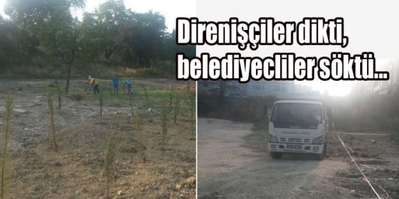 Direnişçiler dikti, belediyecliler söktü...