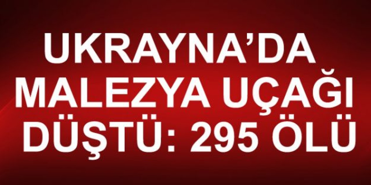 Malezya yolcu uçağı düştü