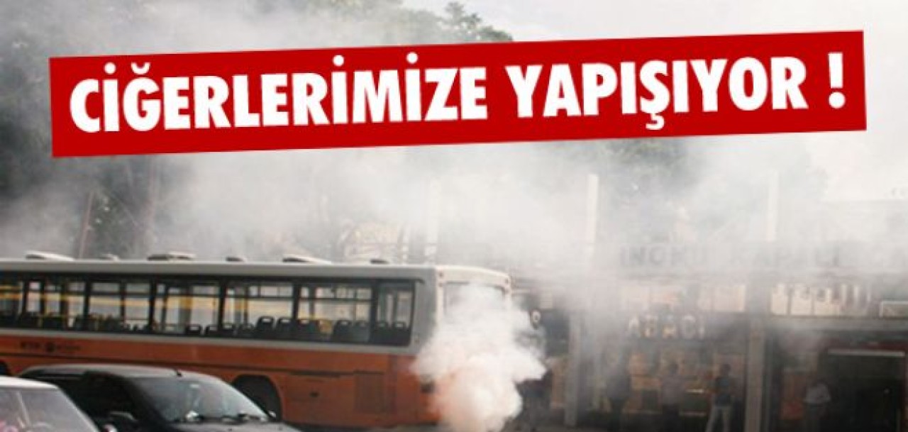 Ciğerlerimize yapışıyor