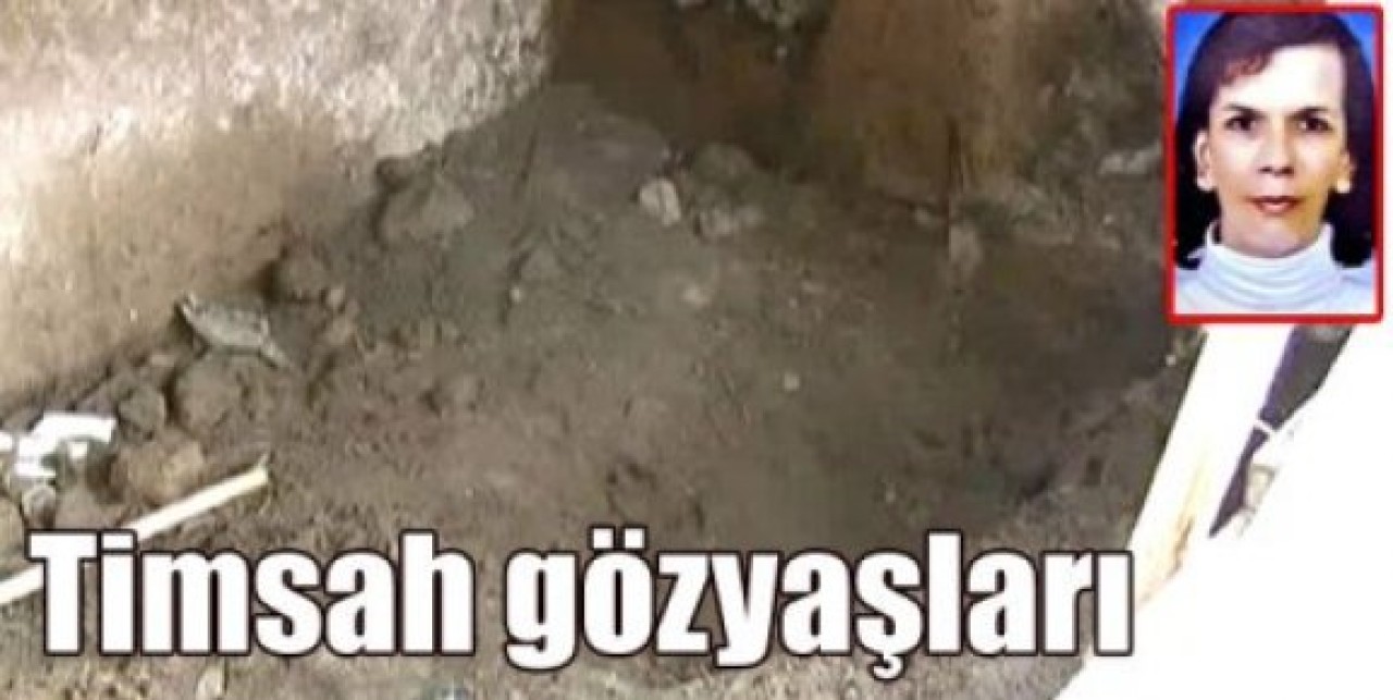 Timsah gözyaşları