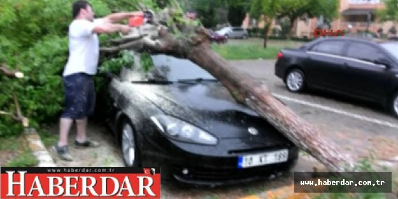 Kasırga gibi esti, ağaçları devirdi