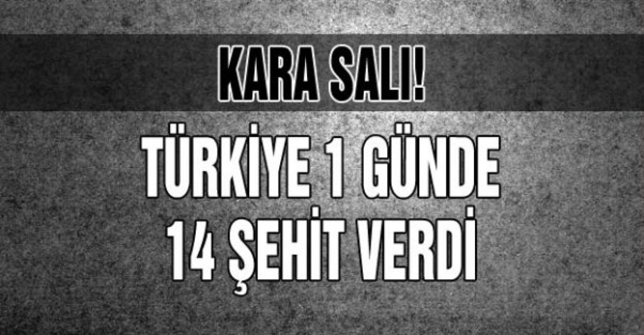 Kara Salı! Türkiye 1 Günde 14 Şehit Verdi