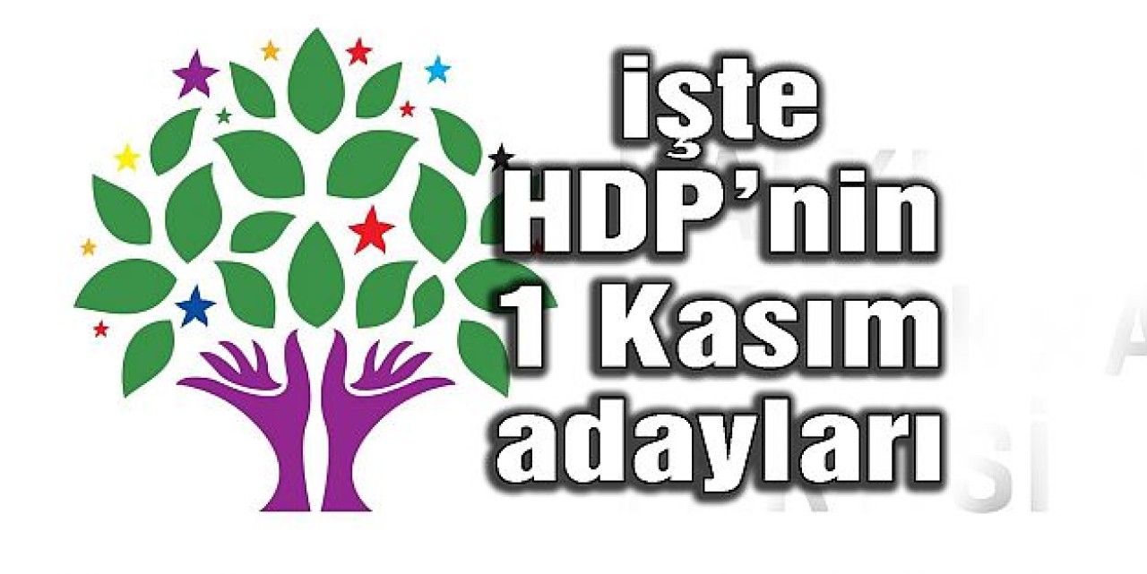 HDPnin 1 Kasım seçimlerindeki milletvekili adayları açıklandı