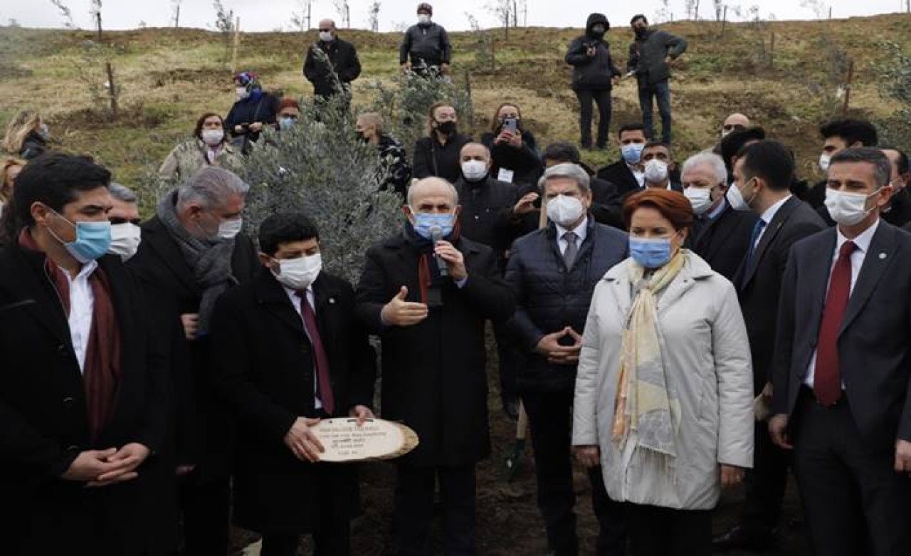 382 sağlık çalışanı anısına zeytin ağacı dikildi