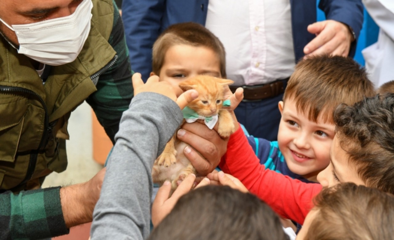 Harçlıkları ile mama aldılar!