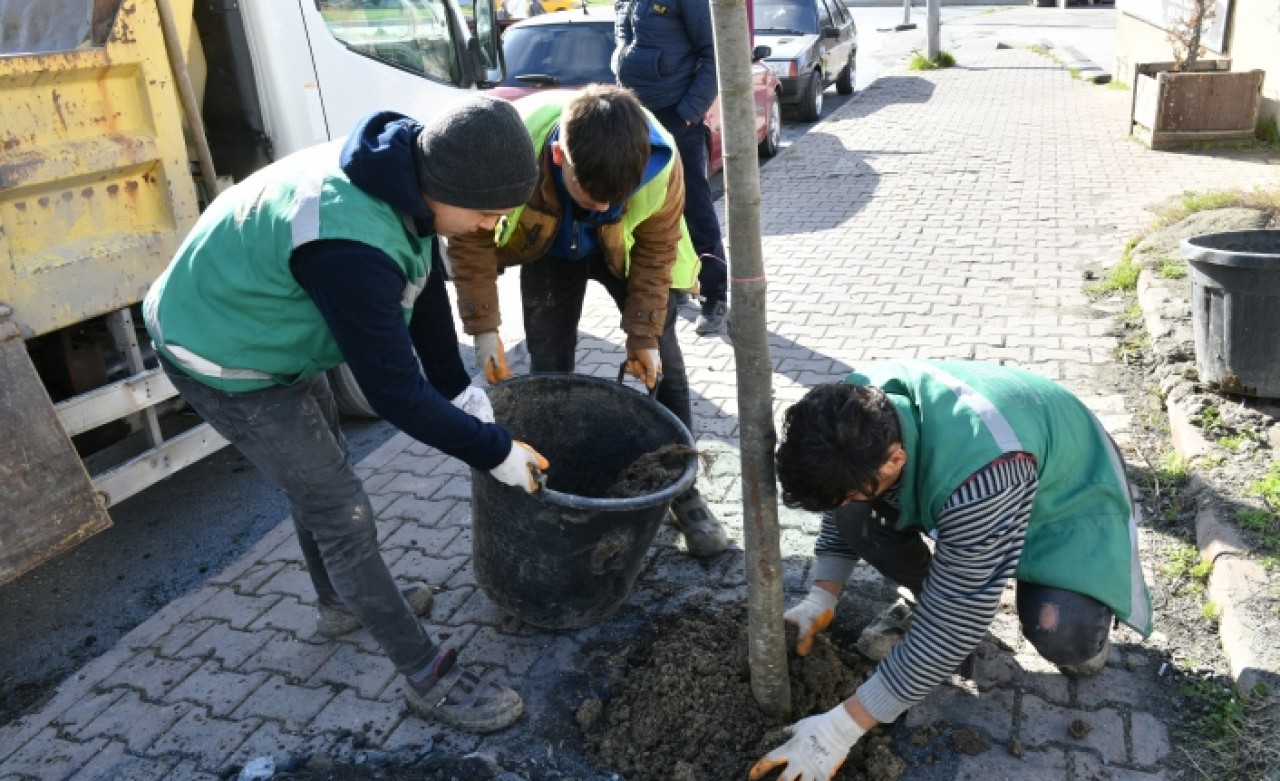 ESENYURT’TA SORUNLAR YEŞİLLENDİRMEYLE ÇÖZÜLÜYOR