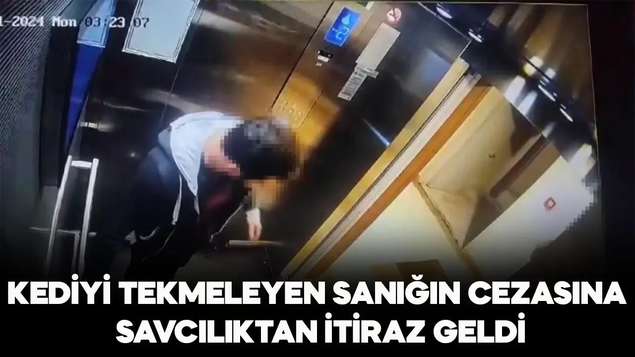 Kediyi tekmeleyerek öldüren sanığın cezasına savcılıktan itiraz