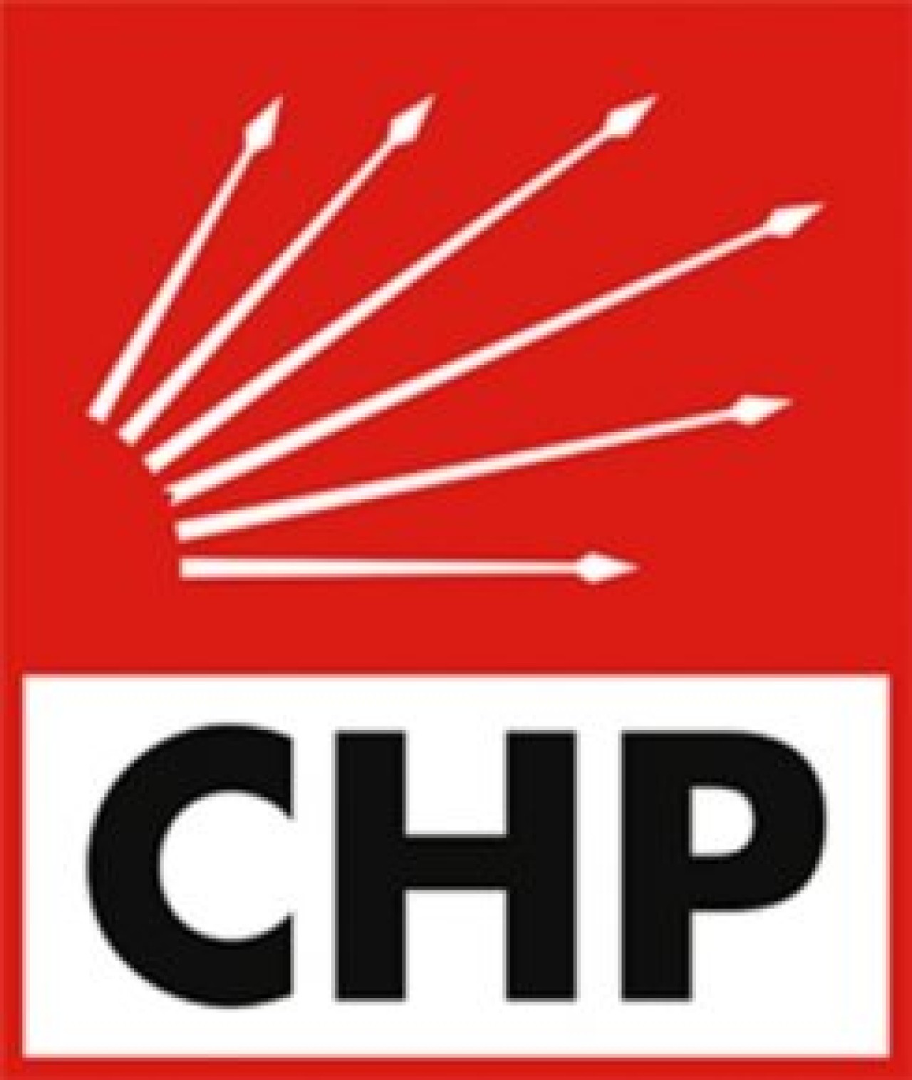 CHP Kadın Kolları'nda MYK'yı belirledi