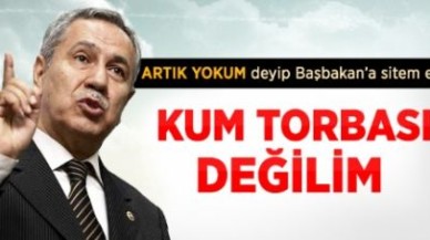 Arınç: Aktif Siyaseti Bırakacağım