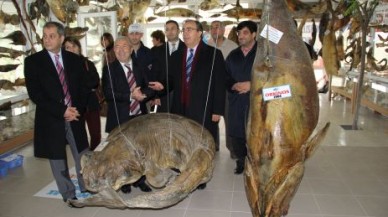 MAKAM ARACIYLA GETİRDİ MÜZEYE VERDİ