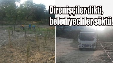 Direnişçiler dikti, belediyecliler söktü...