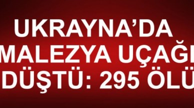 Malezya yolcu uçağı düştü