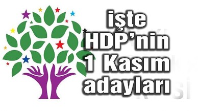 HDPnin 1 Kasım seçimlerindeki milletvekili adayları açıklandı