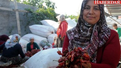 700 liralık mikrokredi yaşamını değiştirdi