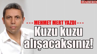 Kuzu kuzu alışacaksınız!