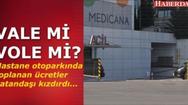 VALE Mİ VOLE Mİ?