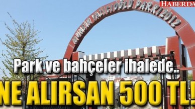 NE ALIRSAN 500