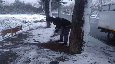 Avcılar Belediyesi sokak hayvanlarını unutmadı