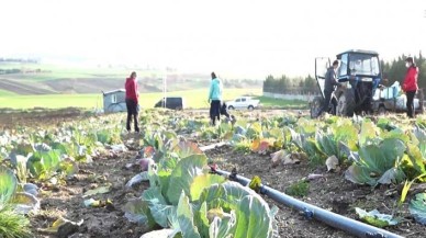 Silivri Belediyesi'nden köy pazarı esnafına destek