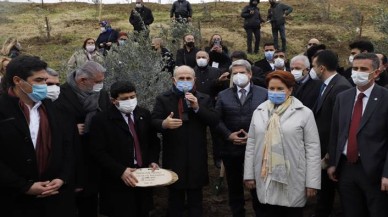 382 sağlık çalışanı anısına zeytin ağacı dikildi