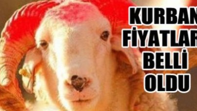 Kurban fiyatları belli oldu!