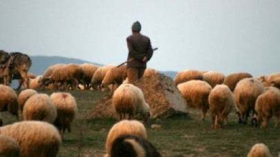 3 Bin TL Maaşla Kadrolu Çoban