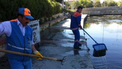 KANUNİ'YE HİÇ YAKIŞMIYOR