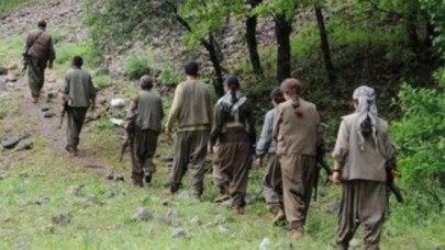 Dağdan inen PKK'lıya rehabilitasyon