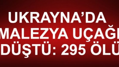 Malezya yolcu uçağı düştü