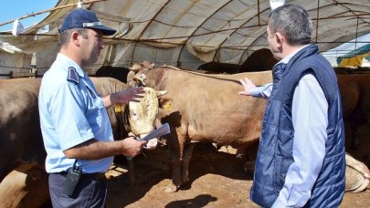 Büyükçekmece kurban satışlarını denetliyor