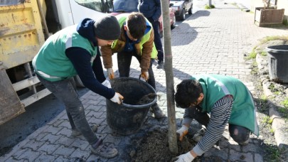 ESENYURT’TA SORUNLAR YEŞİLLENDİRMEYLE ÇÖZÜLÜYOR