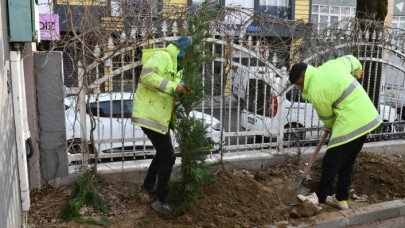 Her şey yeşil bir Esenyurt için