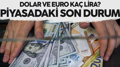 1 dolar kaç TL? 25 Ocak 2024 güncel döviz kuru dolar, euro, gram ve çeyrek altın kaç lira oldu?