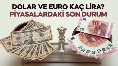 1 euro kaç TL, 30 Ocak 2024 güncel döviz kuru, dolar, euro, gram altın, çeyrek altın kaç lira?