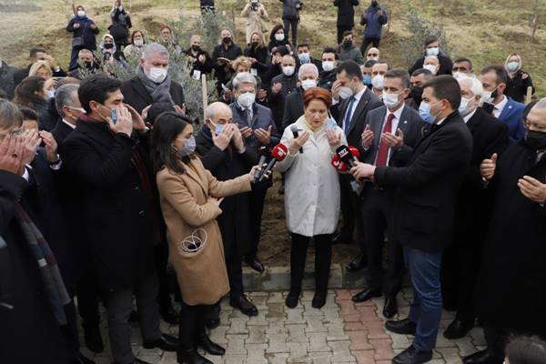 382 sağlık çalışanı anısına zeytin ağacı dikildi