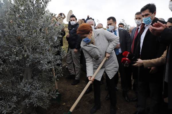 382 sağlık çalışanı anısına zeytin ağacı dikildi