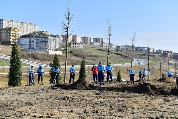 42 kadın sağlık çalışanı anısına bir hatıra ormanı oluşturdu