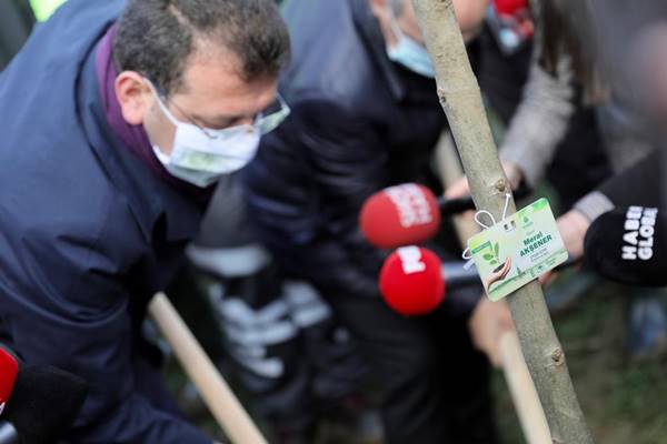 8 Mart Hatıra Ormanı’nın ilk fidanlarını İmamoğlu çifti dikti